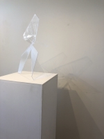 https://mail.rebeccajnorton.com/files/gimgs/th-51_51_plane-distractionwall-shadowportfolio.jpg